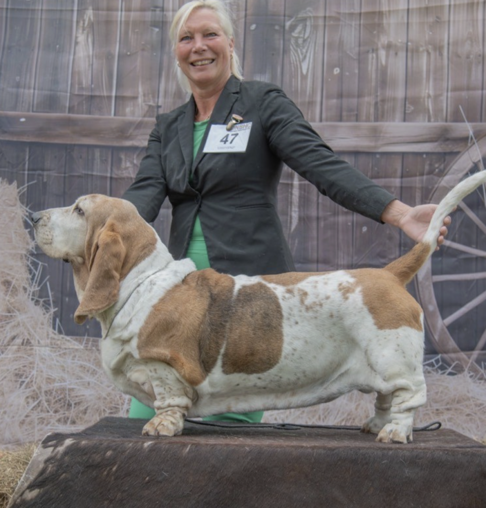 Jansje op de Basset Hound Specialty KCM