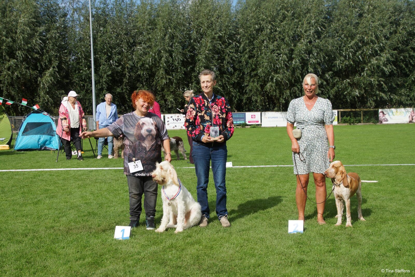 Dotje op de tweede plaats in het Best in Show van de clubmatch in Woerden