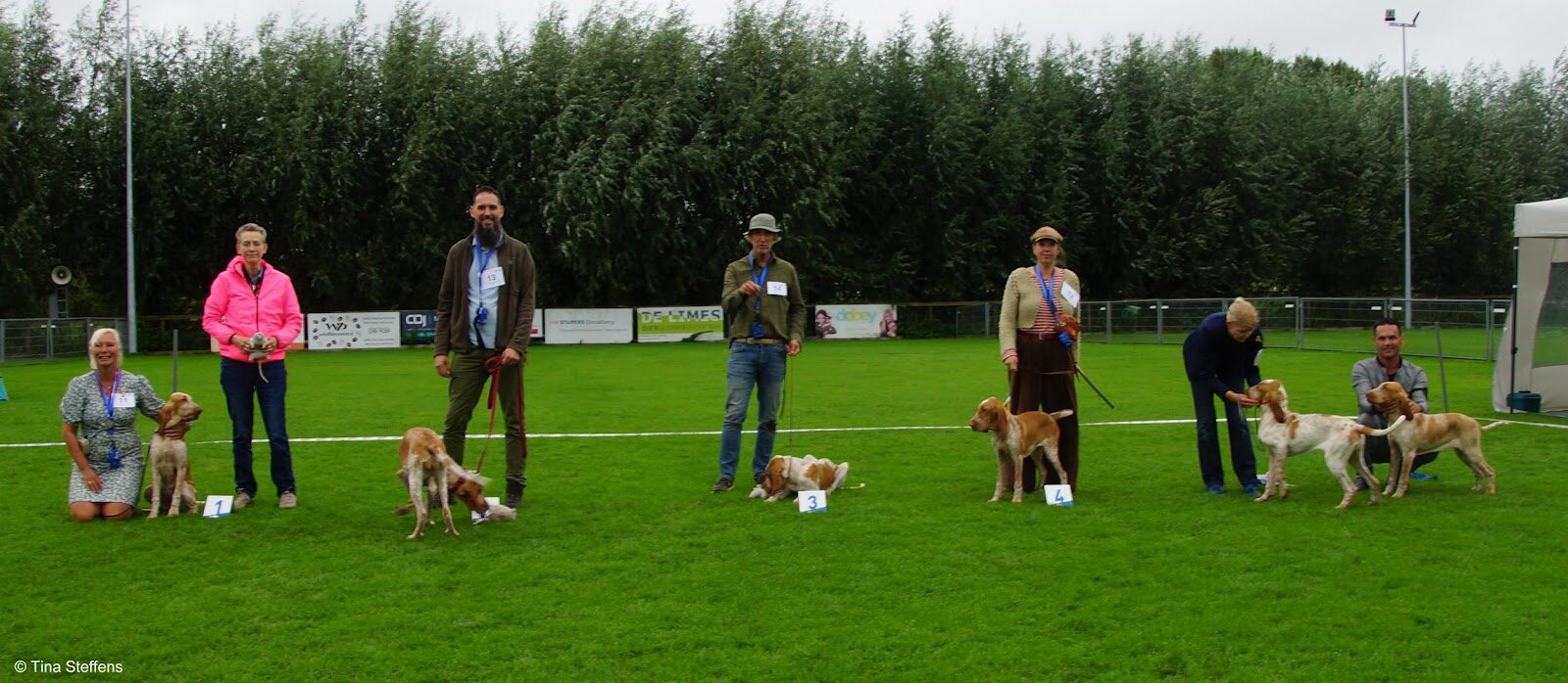 De puppyklasse op de clubmatch in Woerden