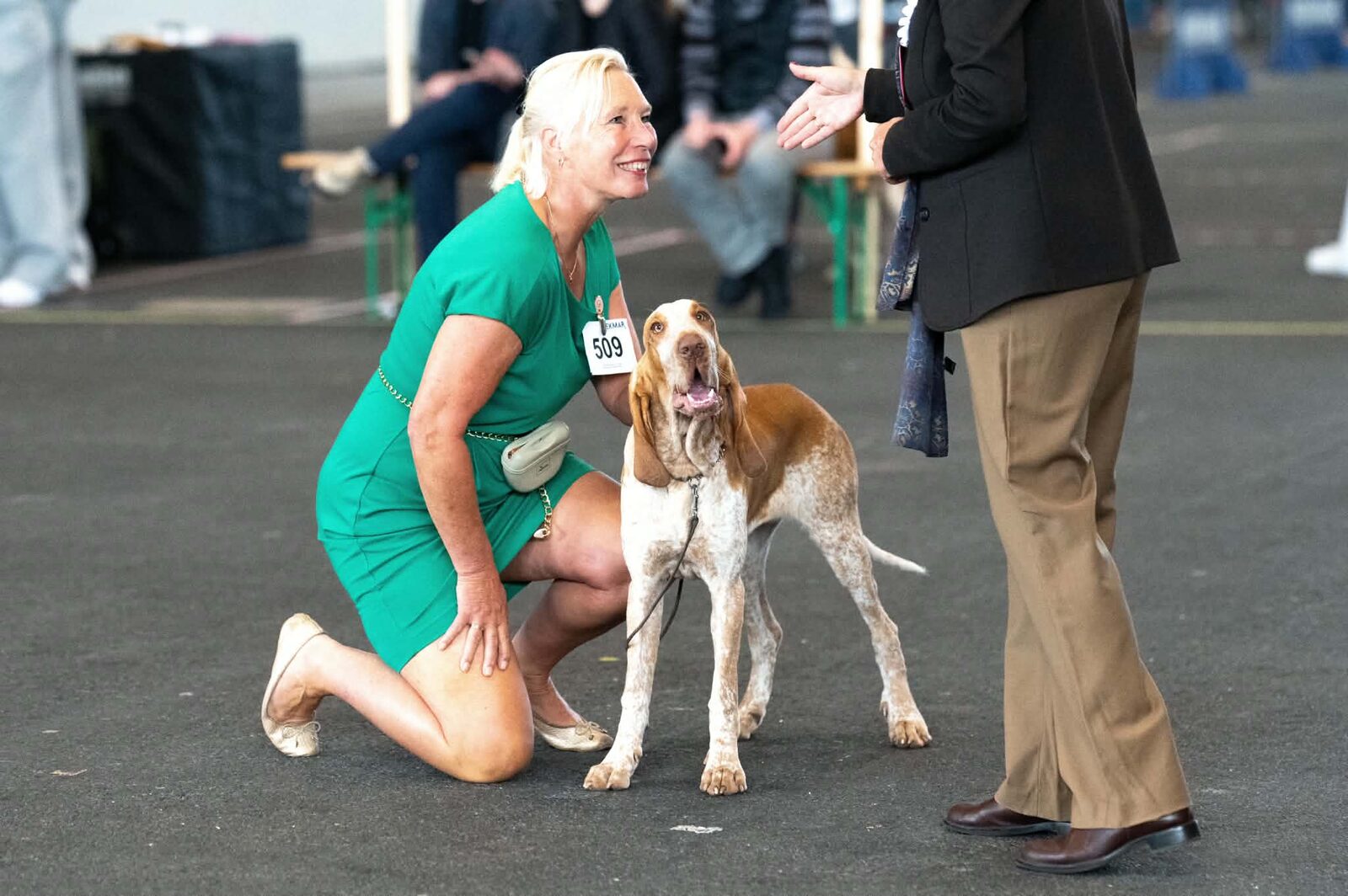 Dotje in de ring in Genève